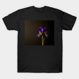 Purple Siberian iris still life T-Shirt